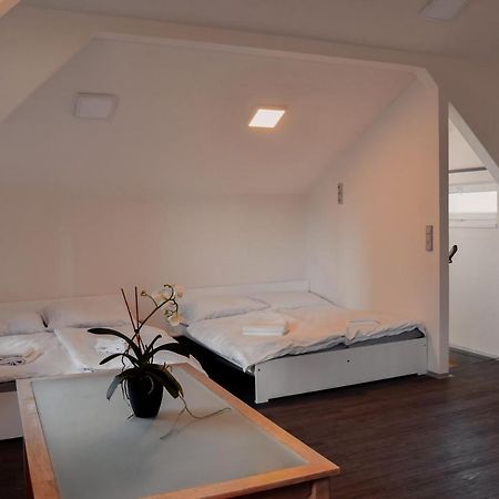 Apartmany Centrum Нови-Бор Екстер'єр фото