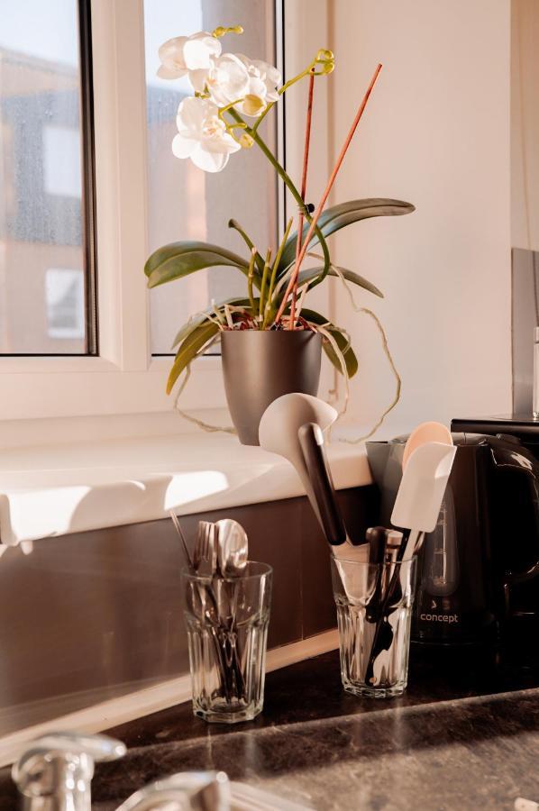 Apartmany Centrum Нови-Бор Екстер'єр фото