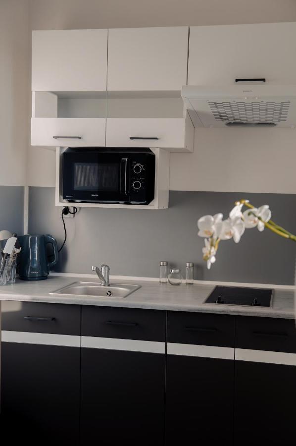 Apartmany Centrum Нови-Бор Екстер'єр фото